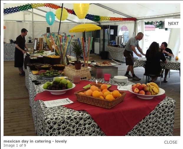 Mexican catering 2